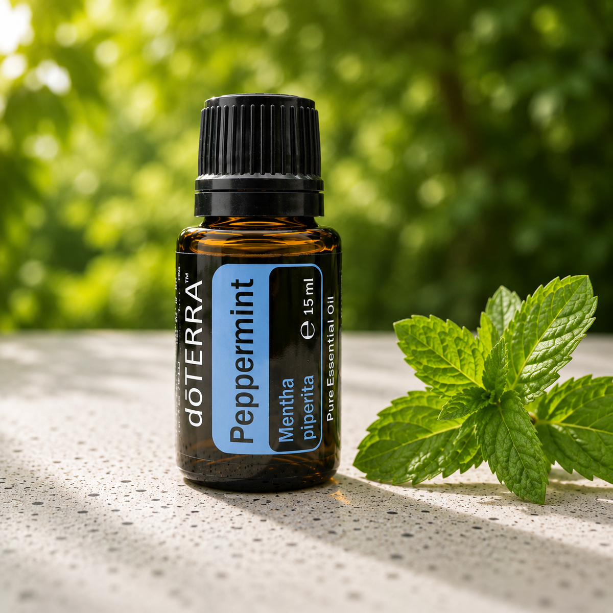 Menthe poivrée