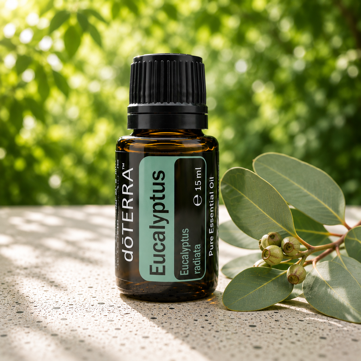 Eucalyptus