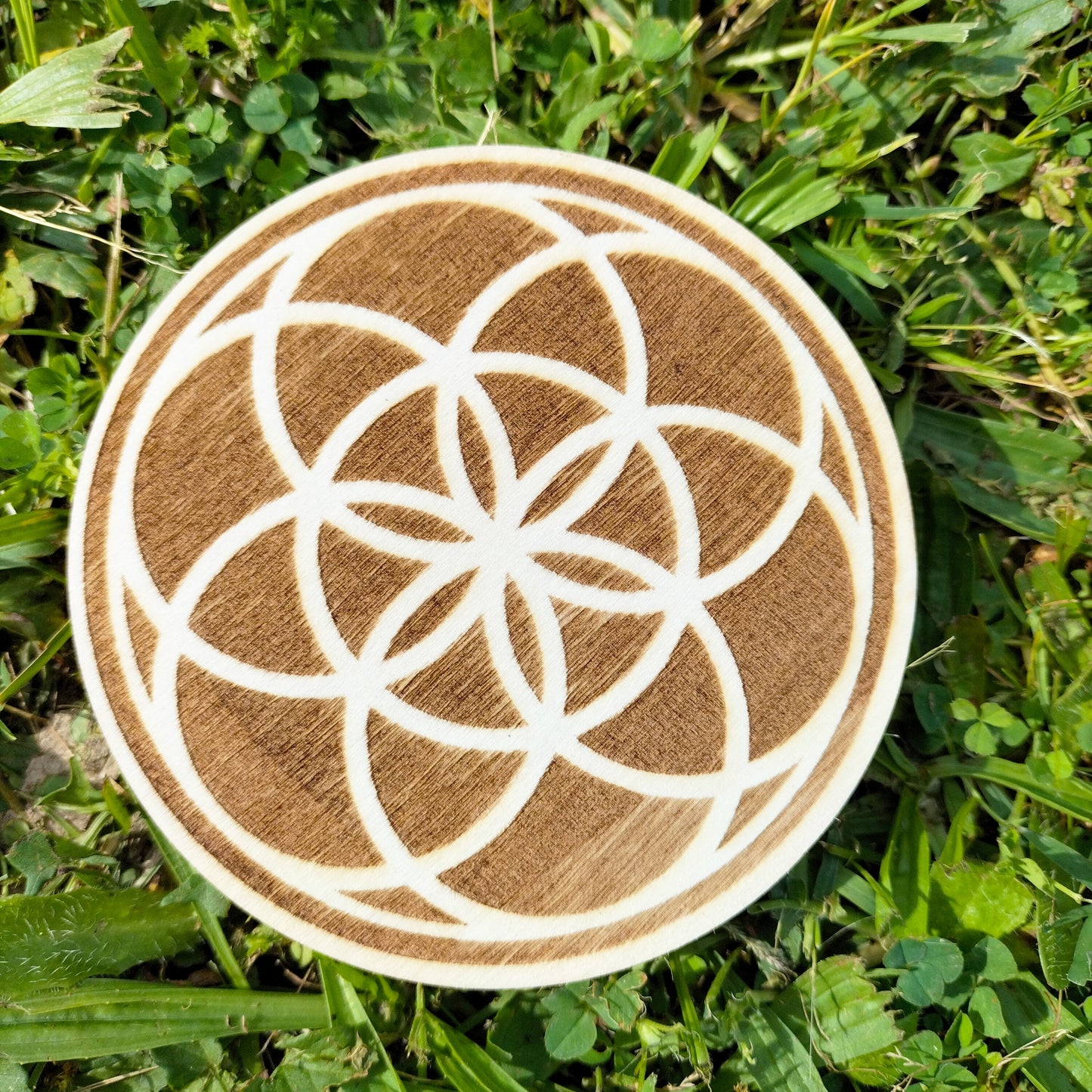 Disque de bois, fleur de vie